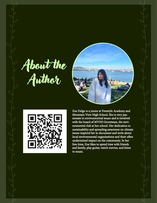 Article by Zoe Delgo